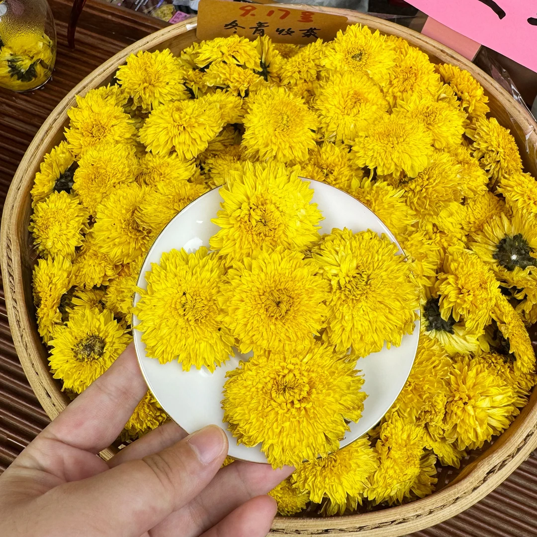 2025明月山金蕊皇菊 今年头采新花 富硒花 泉水甜冬青收茶