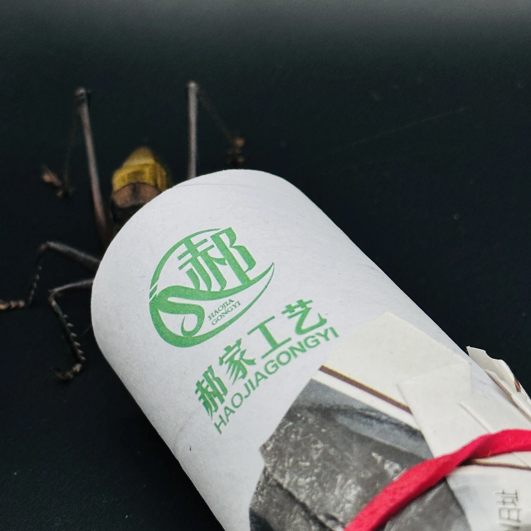 郝建伟铁皮蝈蝈炮筒纸盒嘎嘎有劲儿