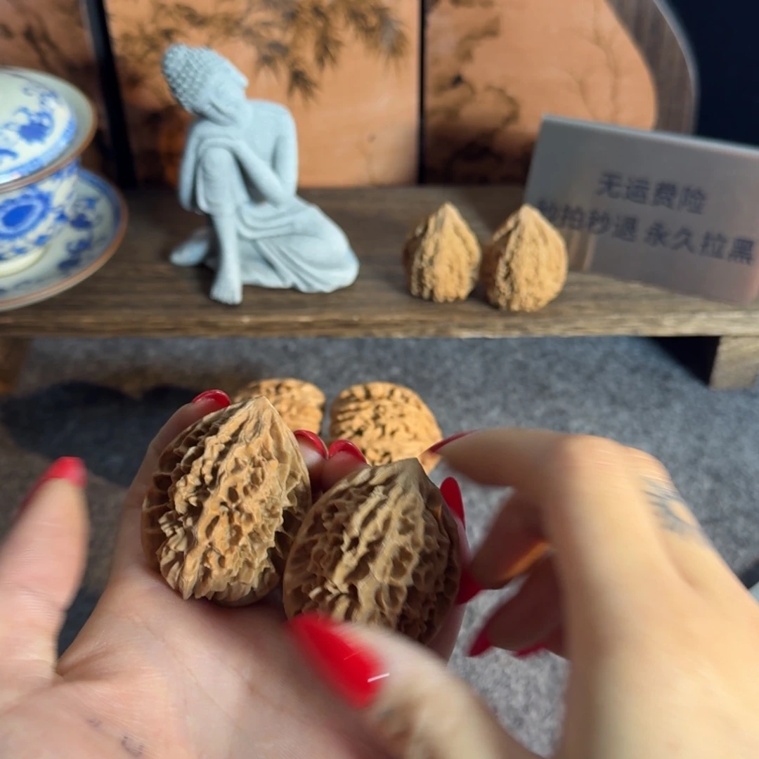 全品40九层妖塔鼠王克重51