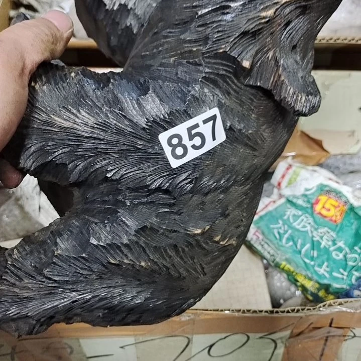 陶瓷成*之你阿肯噜啦啦噜啦啦