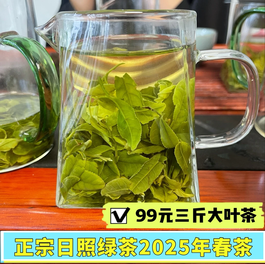 【三斤春茶】日照绿茶2025新茶早春微丑口粮茶大叶茶口感好