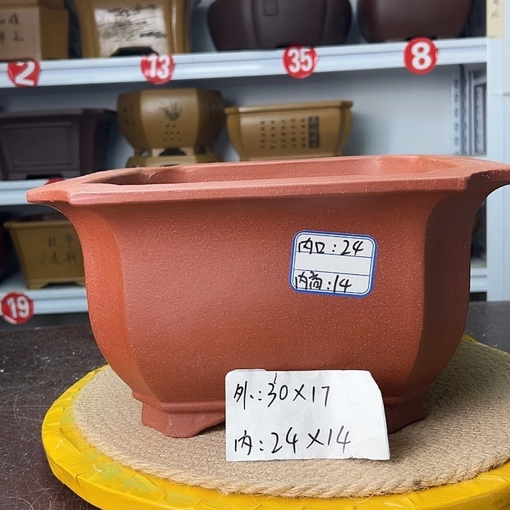 花盆紫砂蛇年大吉