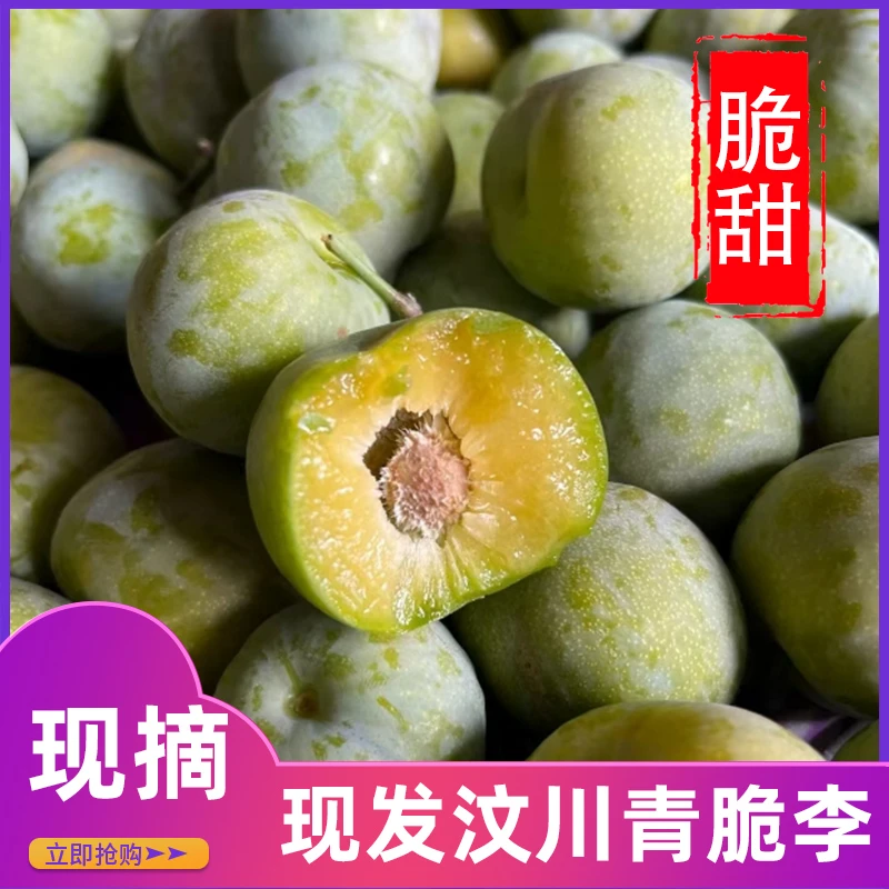 【顺丰冷链-坏果包赔】四川正宗汶川青脆李新鲜水果脱骨李子