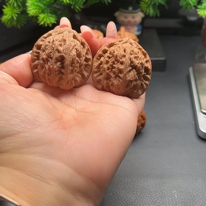 核桃41三角白全品