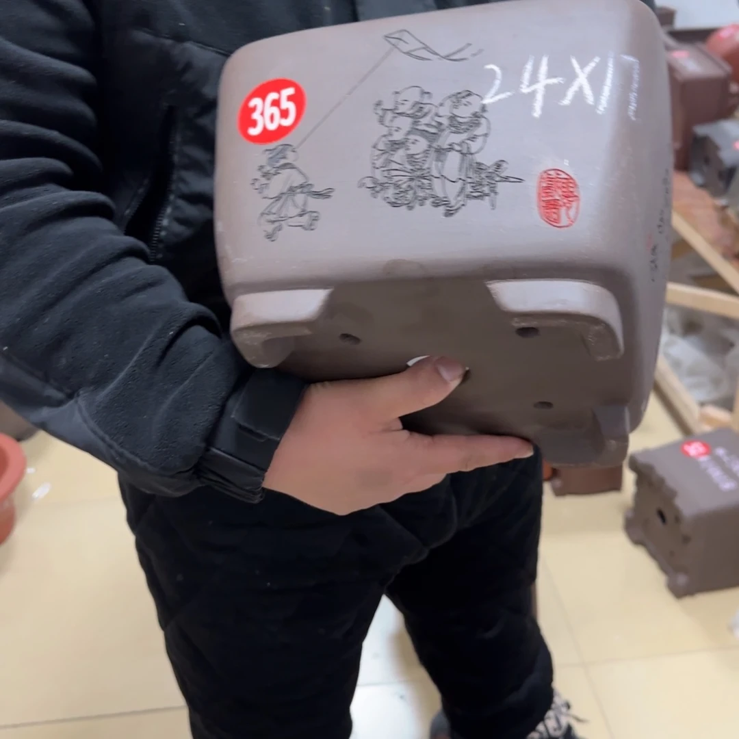 紫砂花盆呜呜呜我真的好