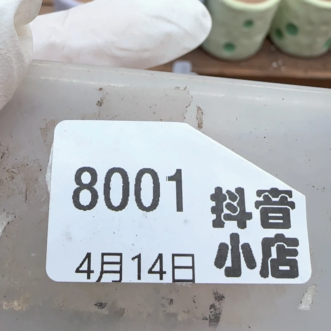 伏**。4.14。饼干。捡漏3。8001