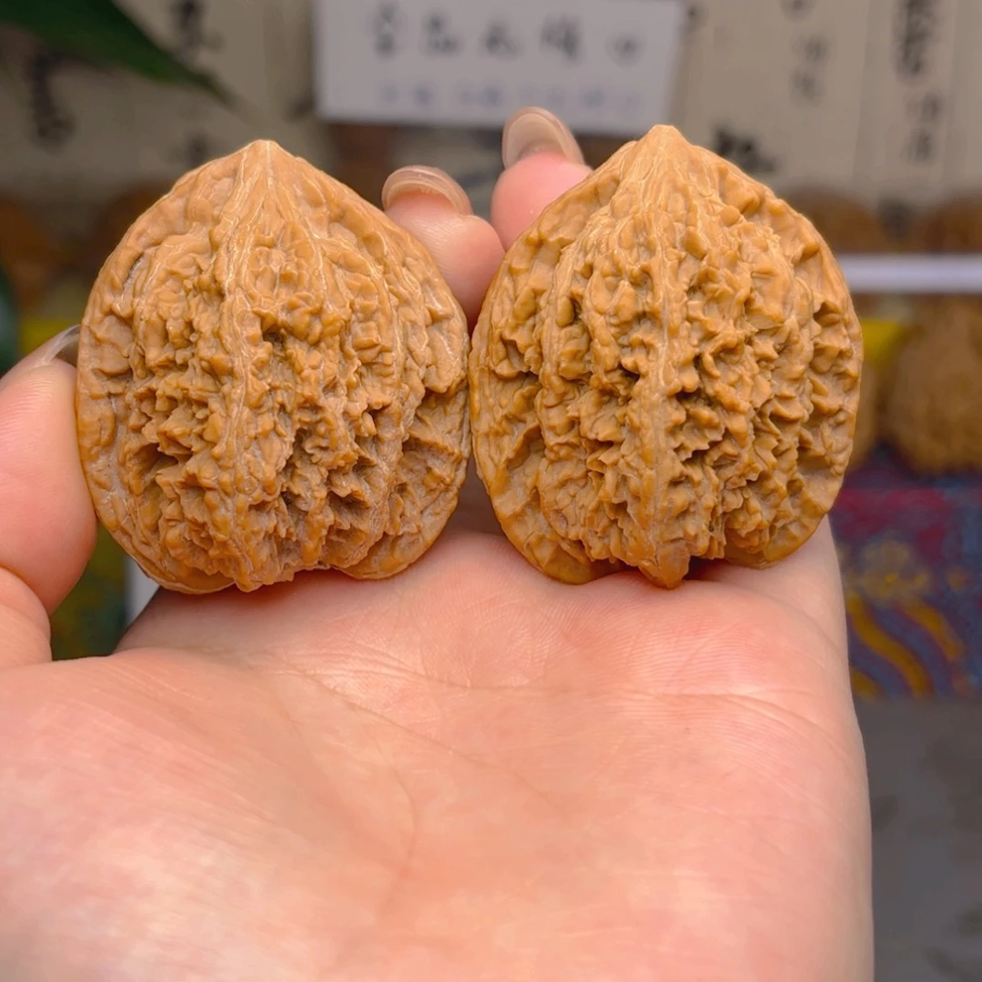 满天星狮子头四十一尺