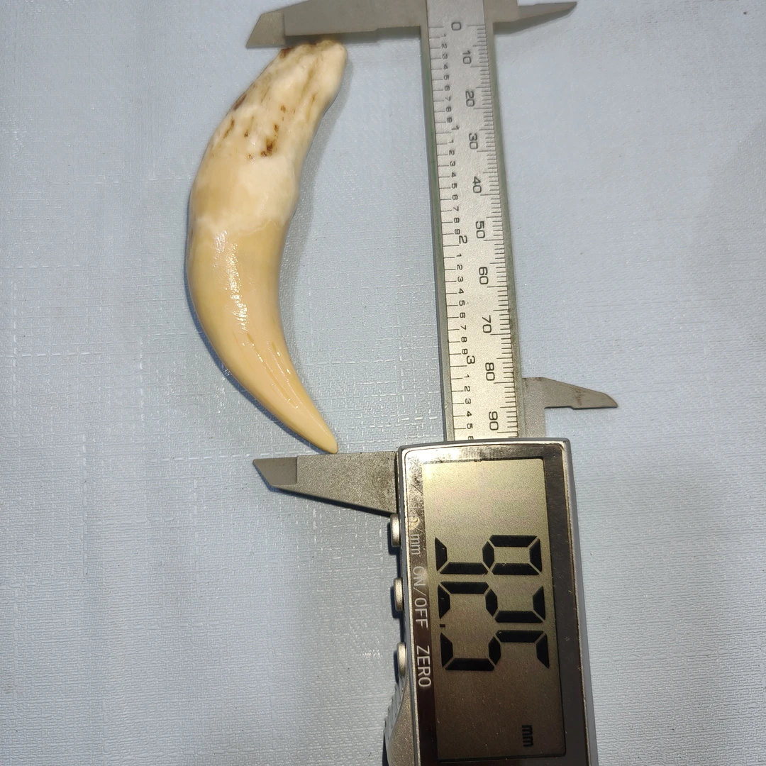 非金属树脂吊坠 文玩牙骨角项坠配饰吊坠手把件个性饰品威武霸气