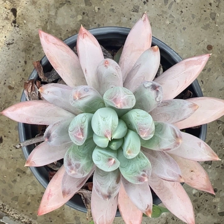 七***街14-41/////////////////////