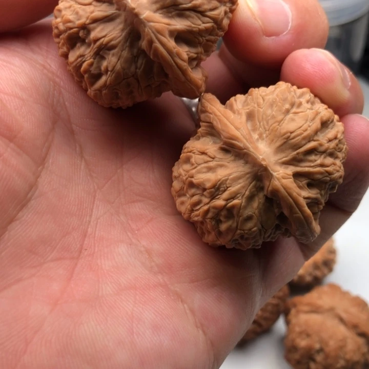 38全品无药血麒麟顺丰快递到付