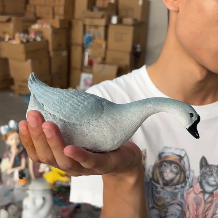 盖碗样品样品样品样品灰鸭