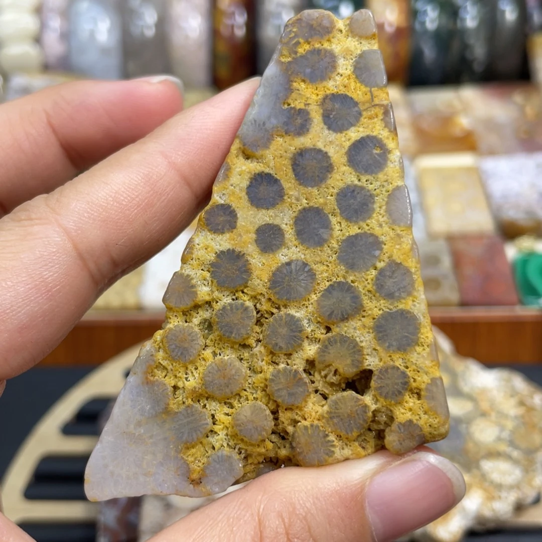 硅化玉未镶嵌颈饰k43