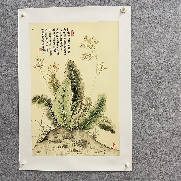 国画花鸟的翅膀是一种