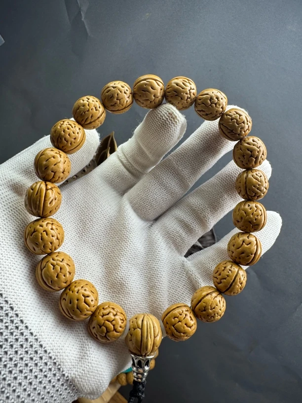 小金豆，皮质嘎嘎好