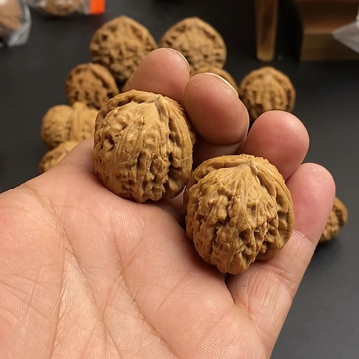 核桃文玩核桃白狮子品种小尺寸点灯牌可得