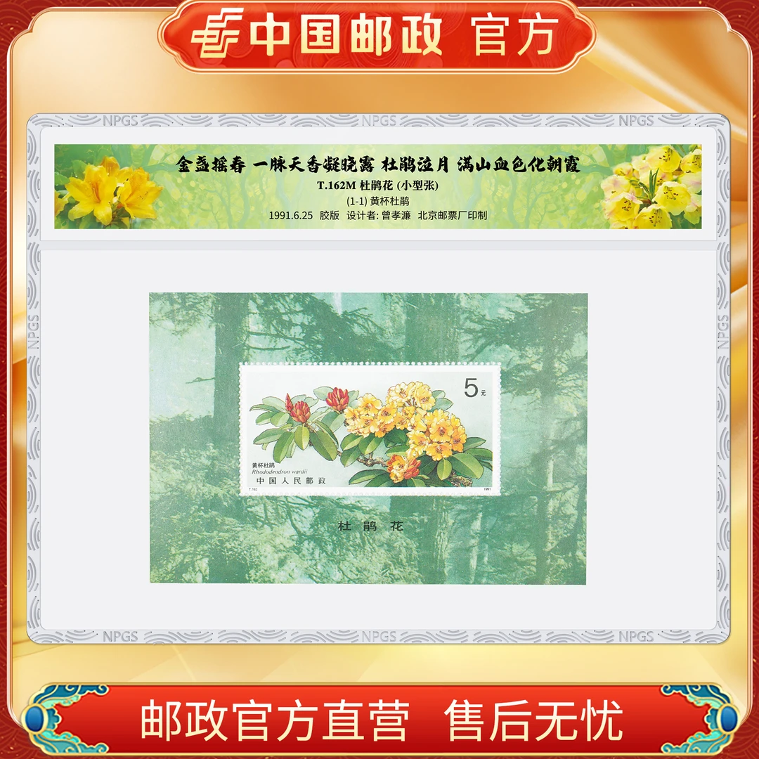 中国邮政官方 T.162M 杜鹃花邮票小型张-塑封