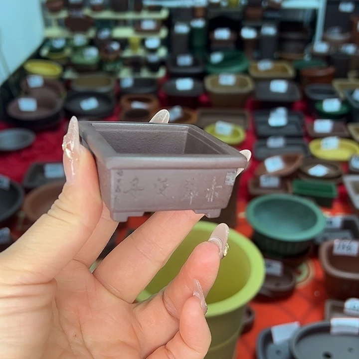 花盆紫砂小方盆精致的很