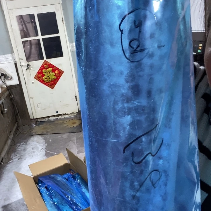 张***苏中国大陆渤海湾野生燕鲅鱼29号