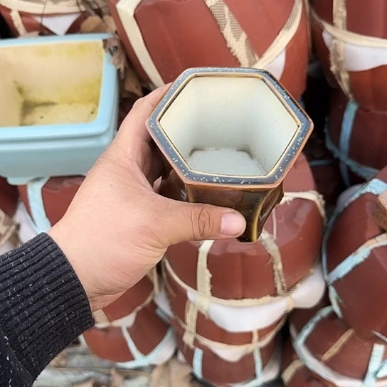 这一期太有意思咯好棒好可爱呀太喜欢这