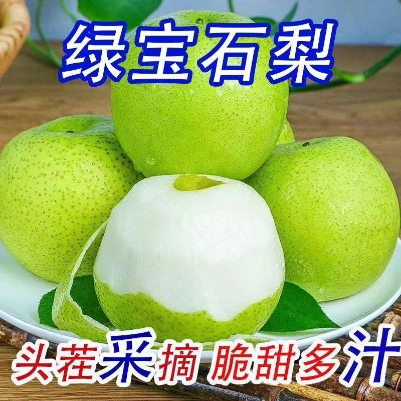 L河北石家庄酥脆梨水果3斤当季水果新鲜现摘