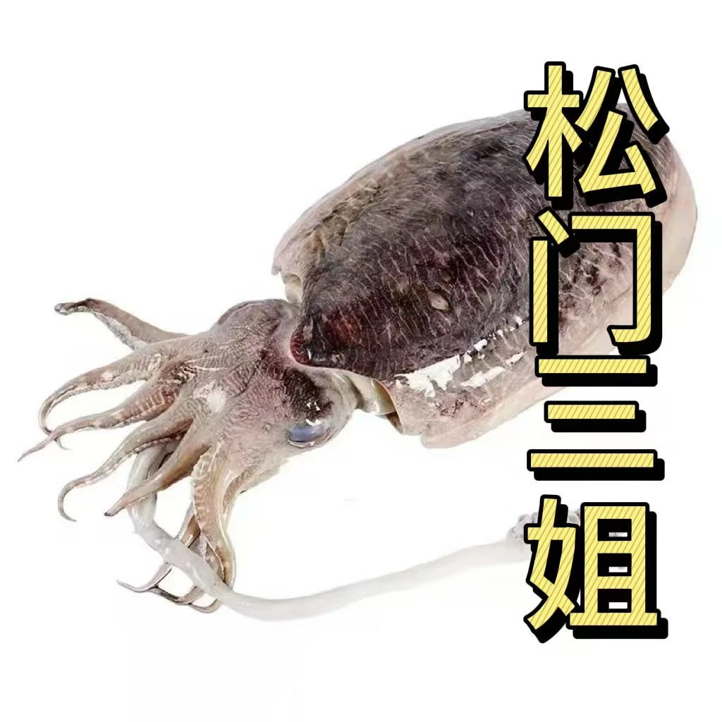 《松门三姐》台州东海墨鱼乌贼干版无泡水急冻顺丰包邮