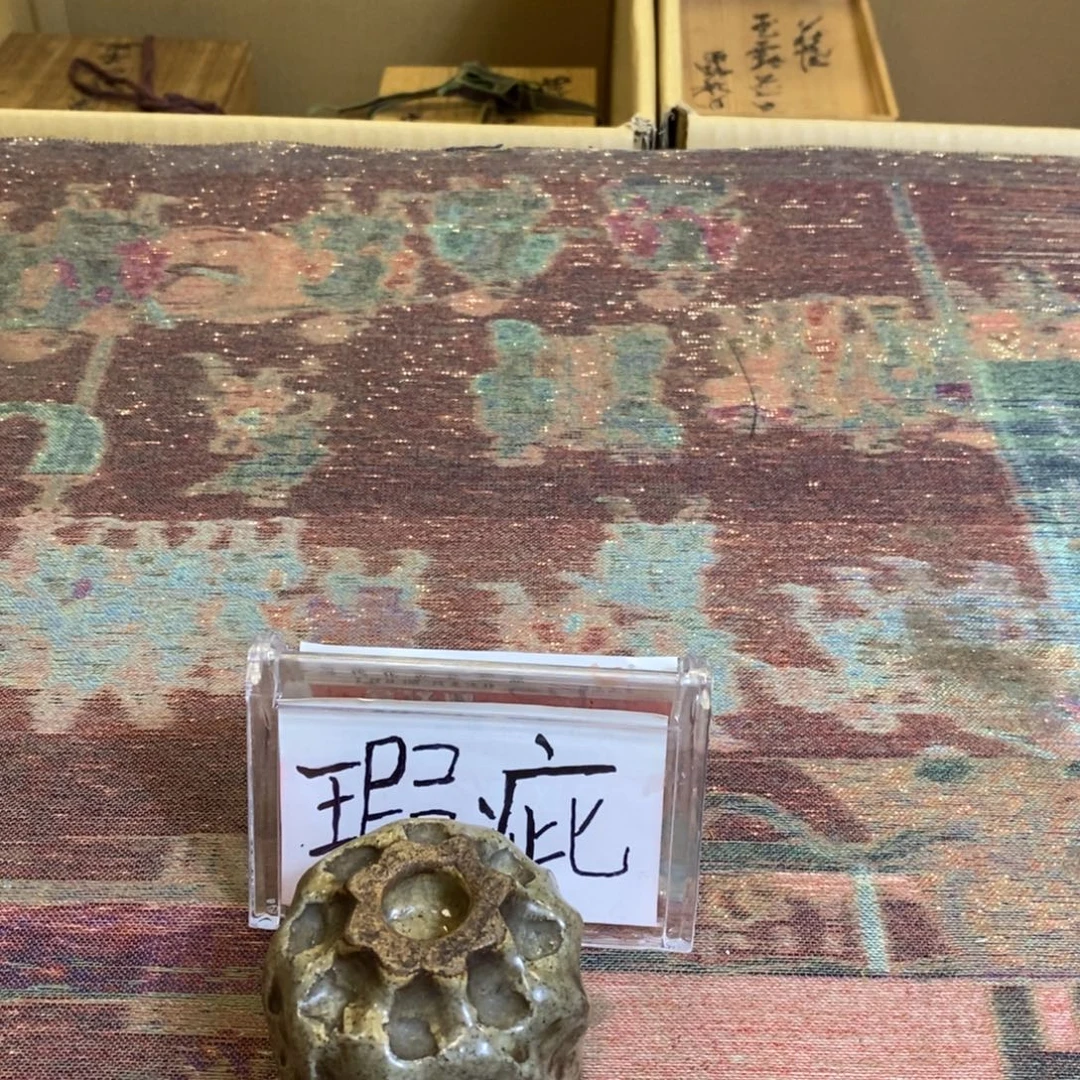 专***品小肥羊的生活习性很好