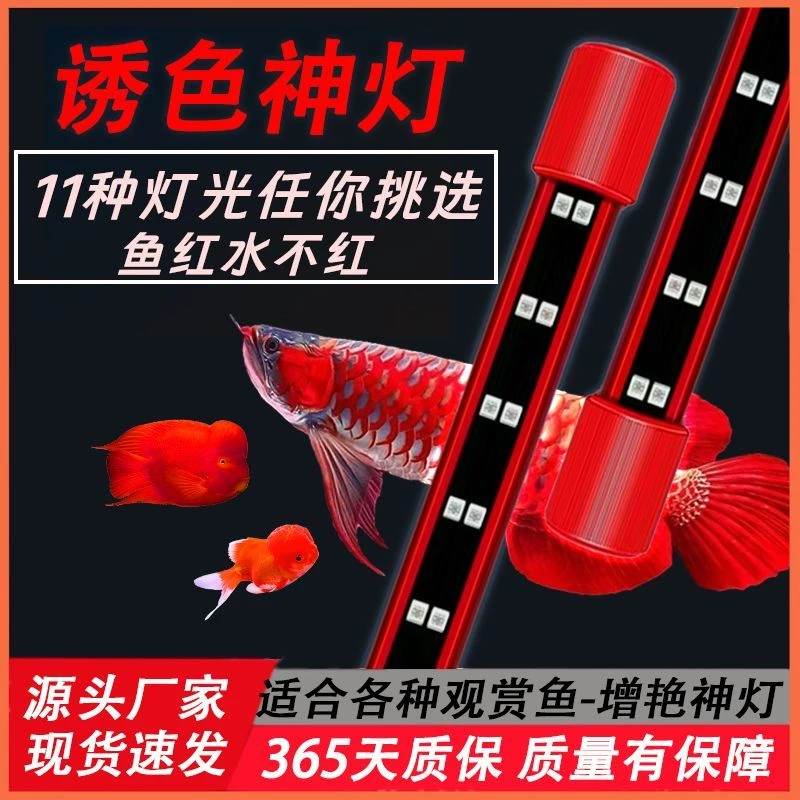 LED红龙鹦鹉罗汉锦鲤兰寿鱼增艳发变色三基色潜防水鱼缸观赏神灯