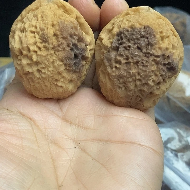 文玩核桃把件云南铁核桃基地58