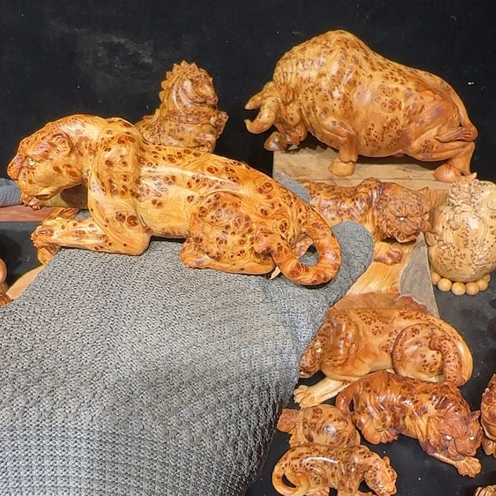 柏木兰**元太行崖柏豹子