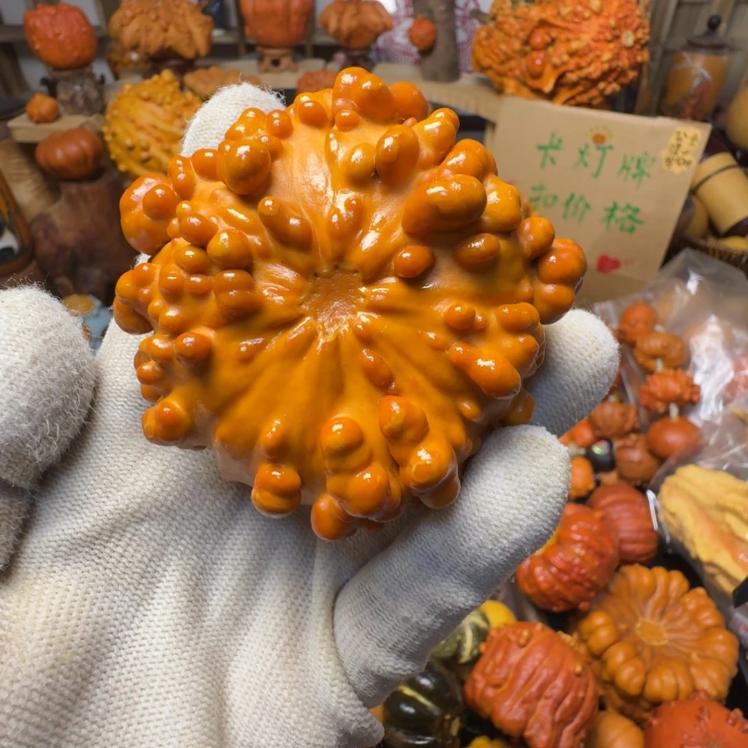 双***星特价葫芦不退不换