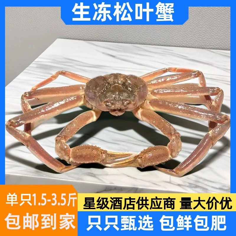松叶蟹生冻长脚蟹自助长脚蟹雪蟹板蟹冻法顺丰
