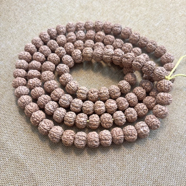 灰皮纯血老树王长串原皮原桩精选10.11