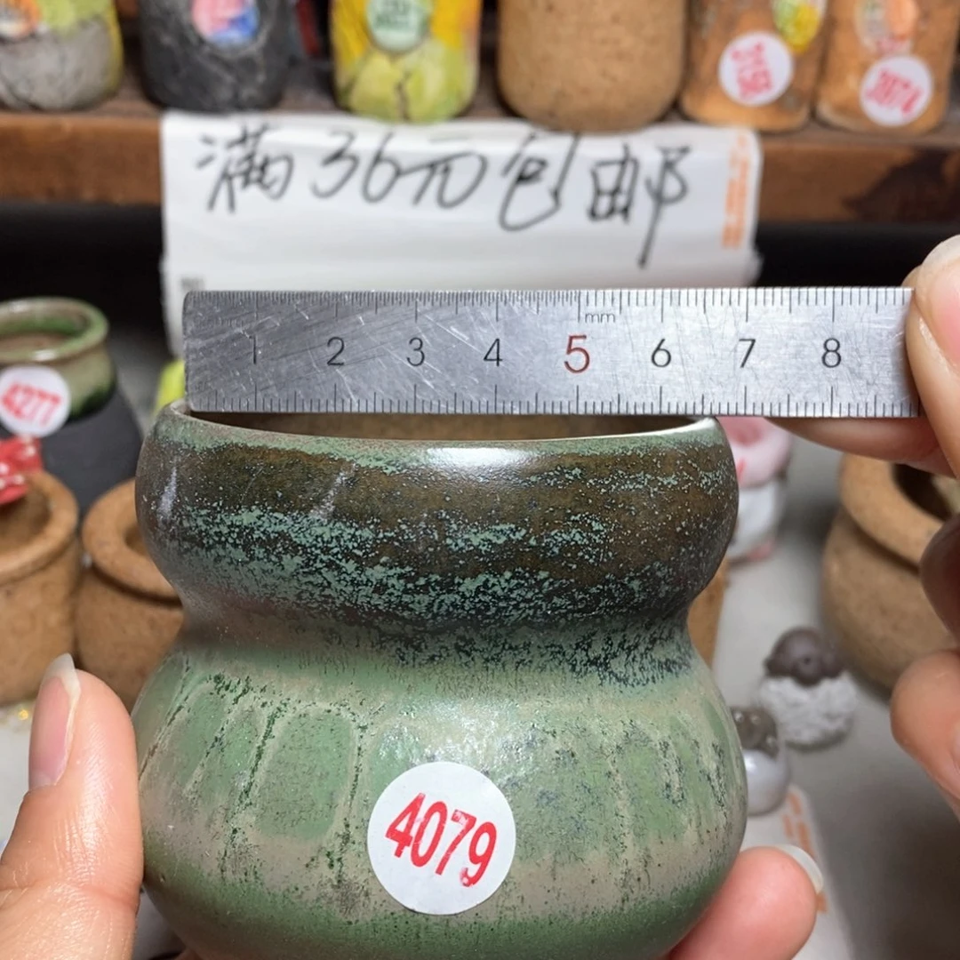 红陶拍5送一个小
