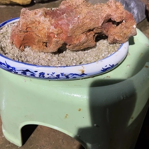 乘**鸿家居装修效果图
