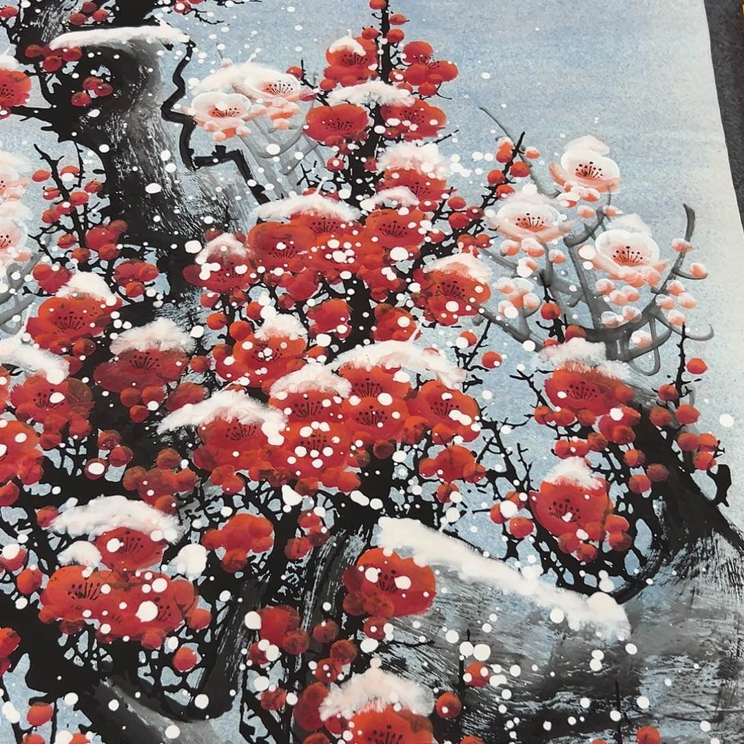 新号开播领福利了