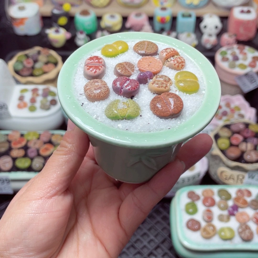 w3503 带盆土发货-零下地区拍保温箱