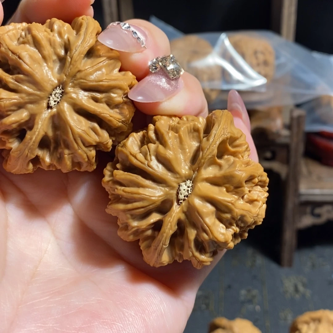 赵***-核桃全品无修大粗筋