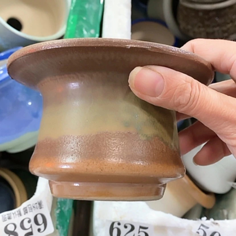 【闪购商品】红陶口8