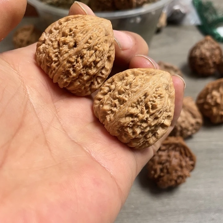 【闪购商品】别**?秦岭野生文玩核桃火狐狸