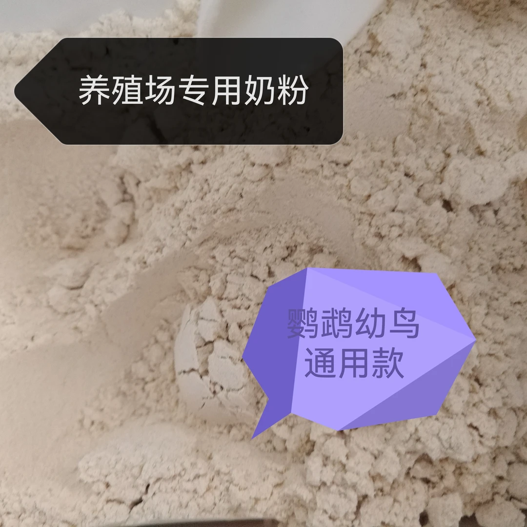 鹦鹉雏鸟奶粉通用款