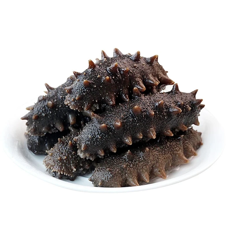 海参新鲜即食真空包装6根左右/斤