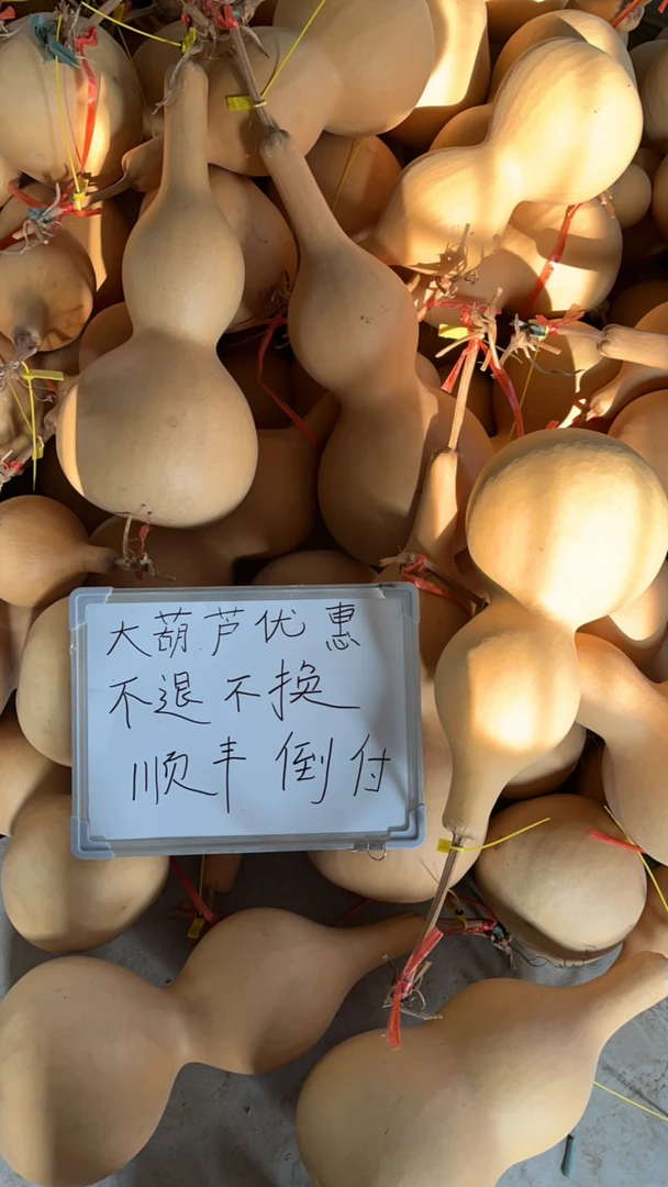 大葫芦直播单品只在直播间拍