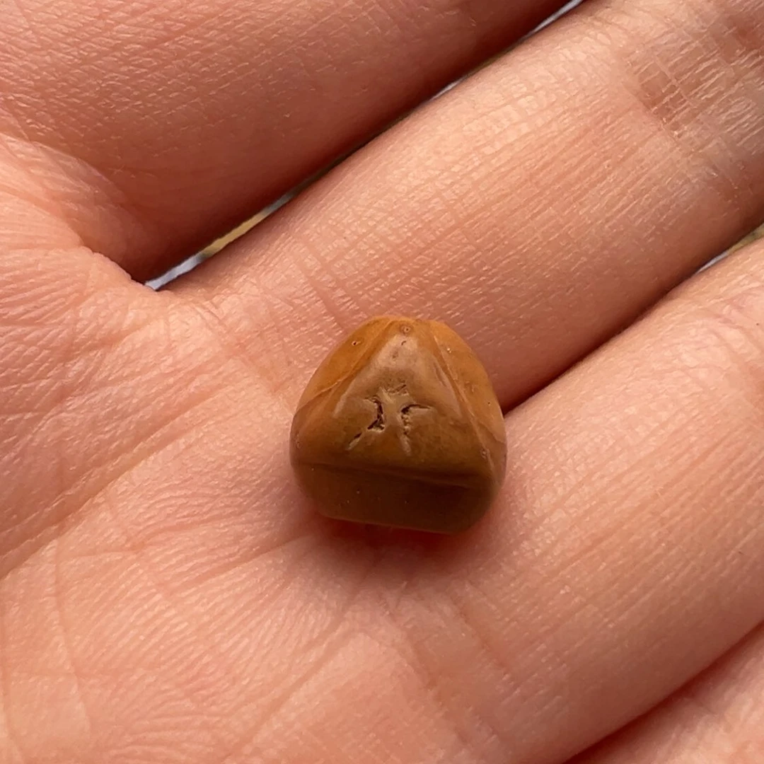 凤眼菩提吊坠维*龙塔9➕