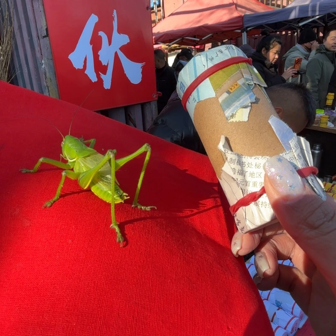 *****蝈蝈蝈蝈福福价格