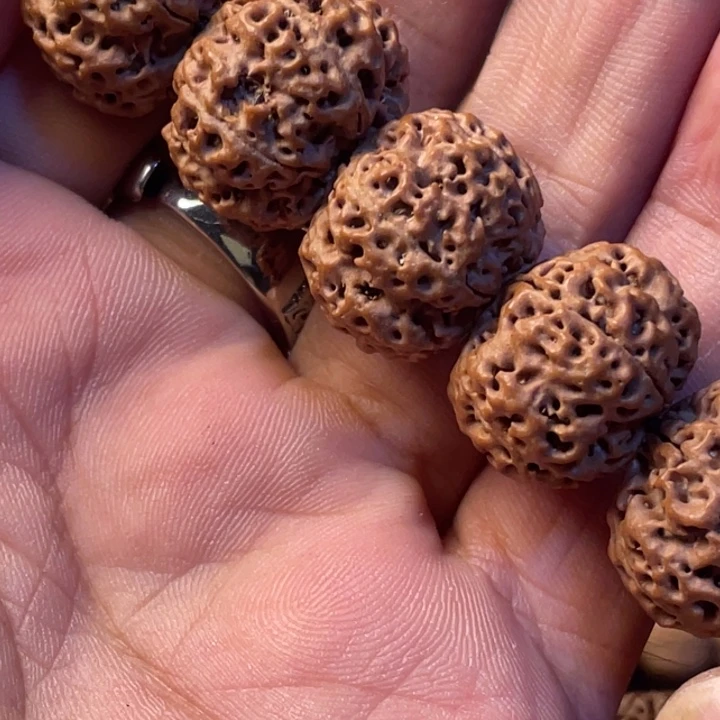 手串金刚菩提头货针孔纽扣