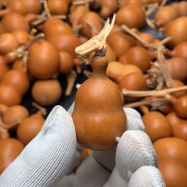 48米老皮葫芦文玩