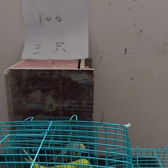 事****人精品好得家就是你你在哪