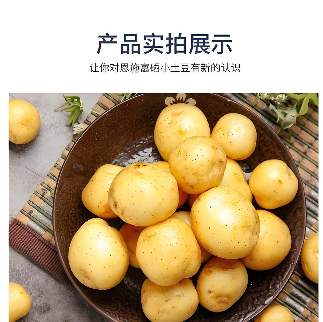 正宗恩施黄心小土豆新鲜现挖5斤迷你马铃薯洋芋农家