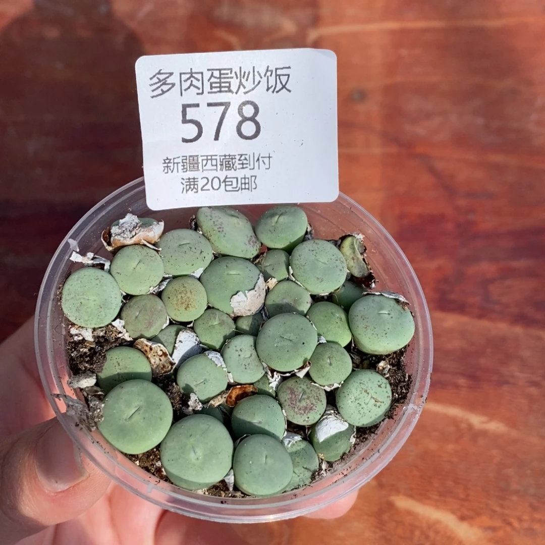 感谢您的支持，00578