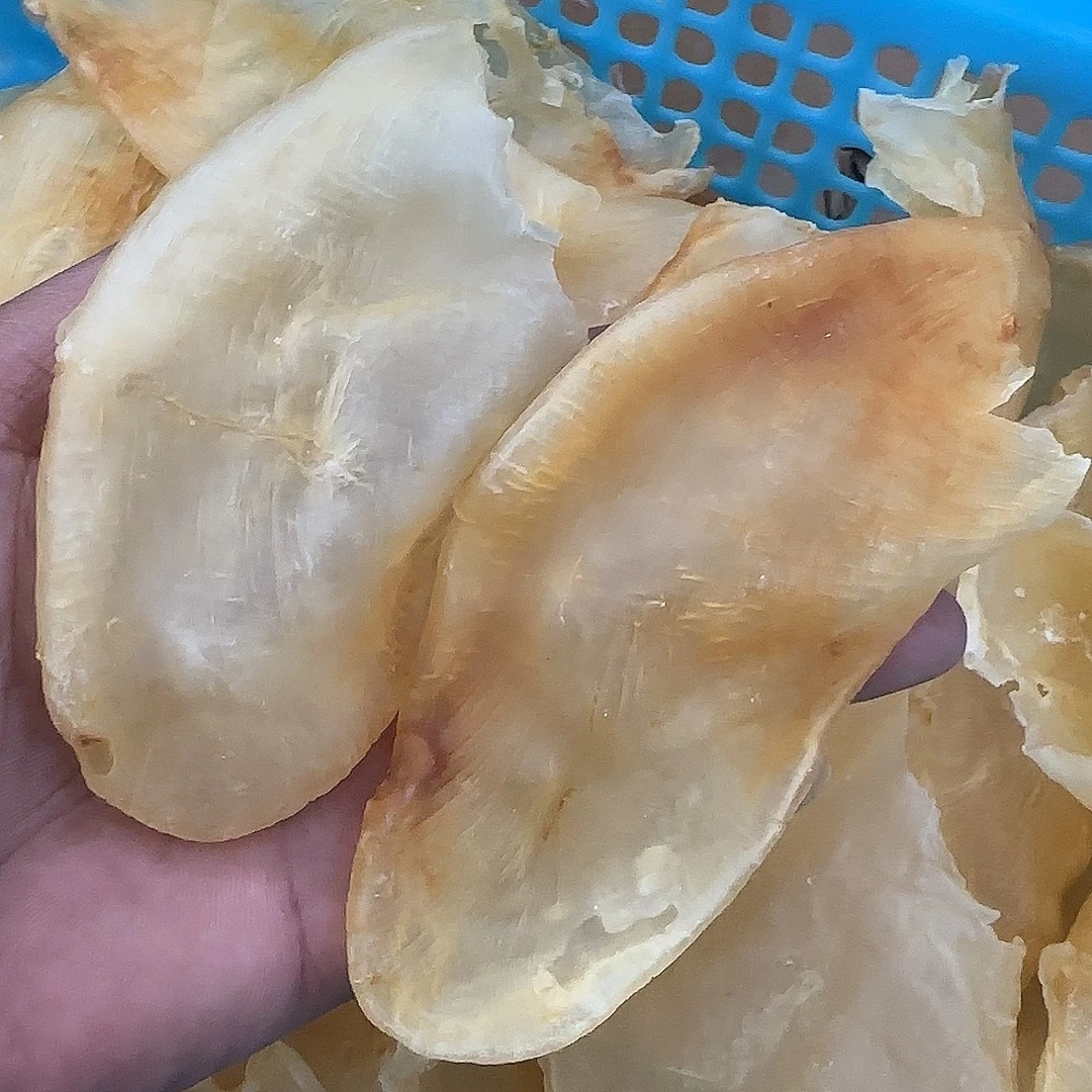 10-13头珍珠胶250-500克 鱼胶炖牛奶炖汤炖鸡食用